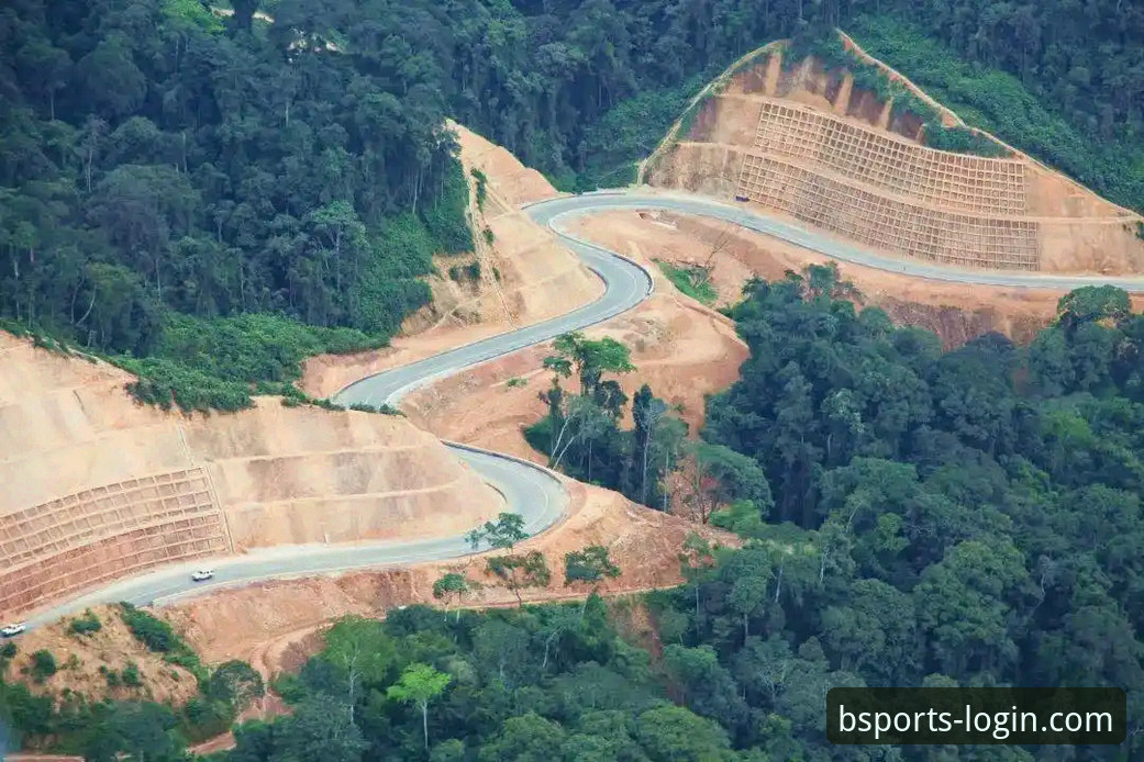 深度解析民主刚果52年圆梦之路：从b体育官方平台获取专业赛事数据的实用指南